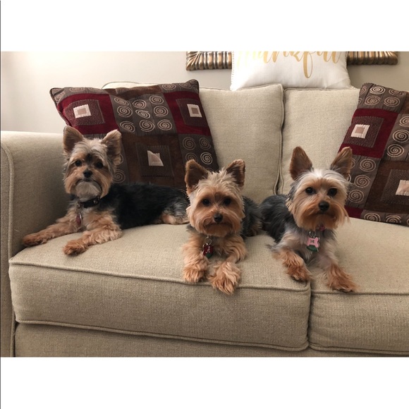 Meet your Posher, Dana - Picture 4 of 4